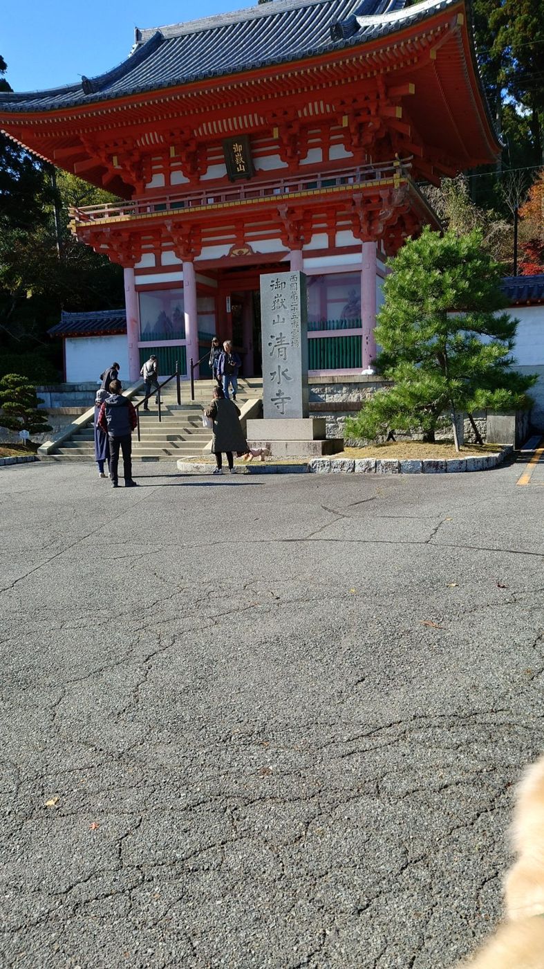 第25番 播州清水寺 仁王門
