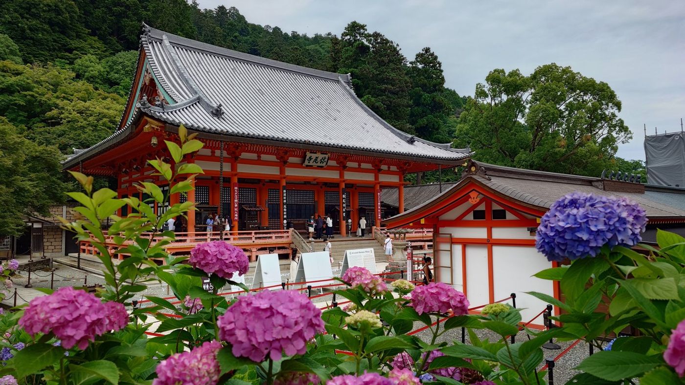 第23番 勝尾寺 紫陽花